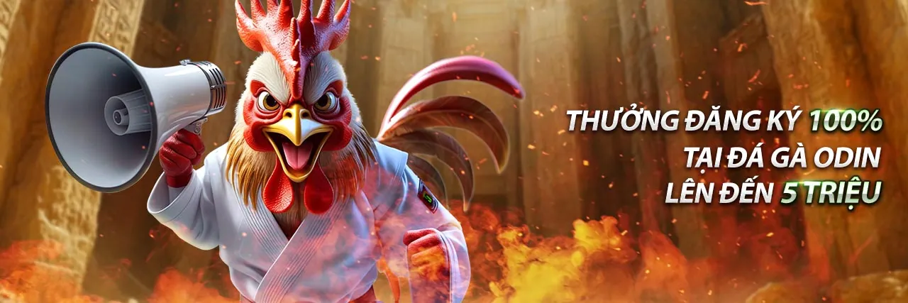 Giao diện đăng nhập Đá Gà Thomo Trực Tiếp với hình ảnh đấu gà sống động và giao diện hiện đại