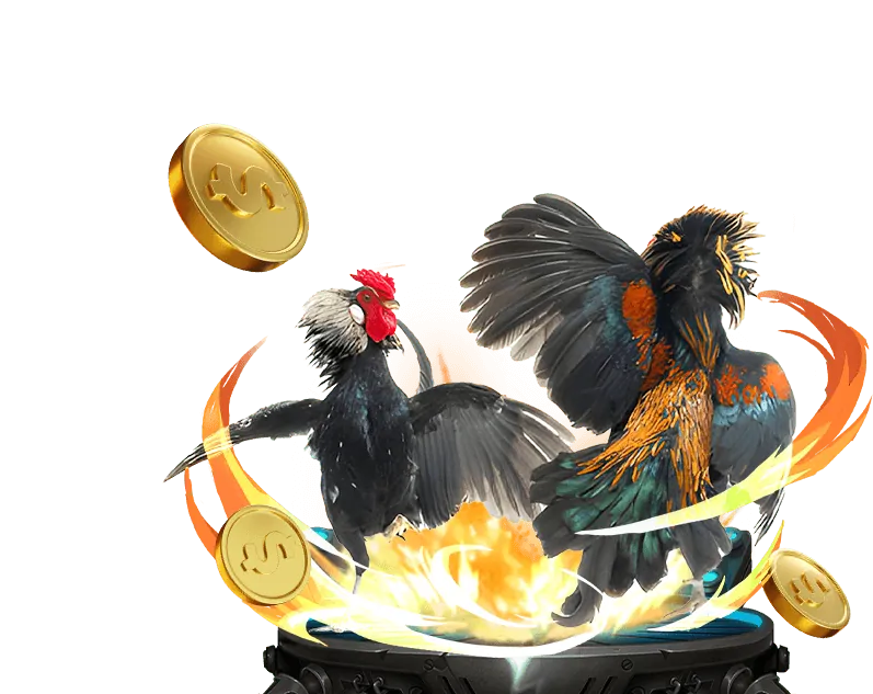 Tổng quan nền tảng giải trí trực tuyến