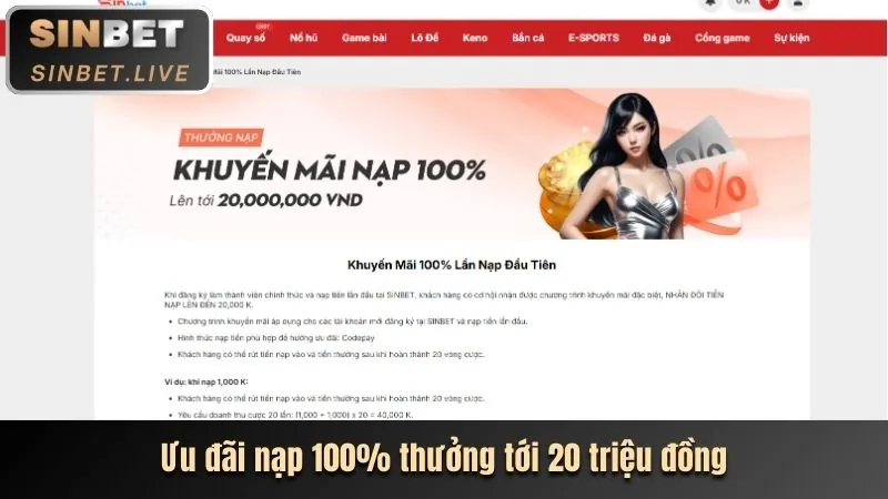 Cập nhật nền tảng